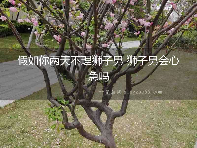 假如你兩天不理獅子男 獅子男會心急嗎
