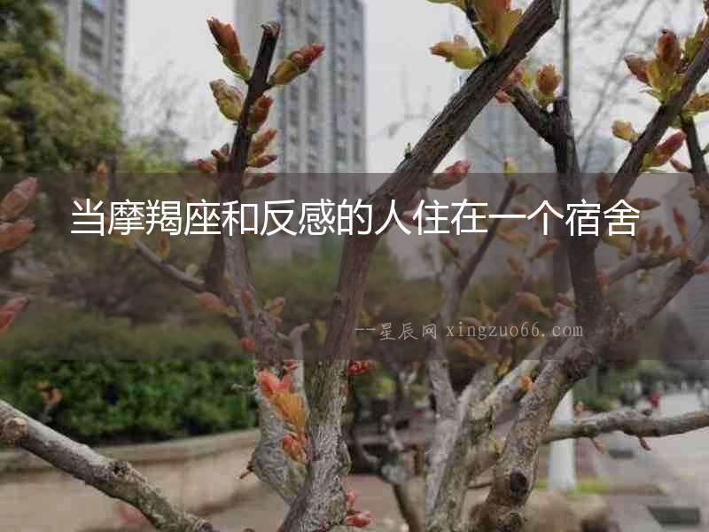 當摩羯座和反感的人住在一個宿舍