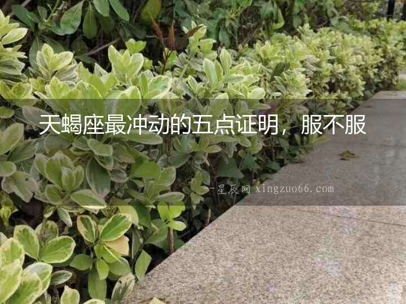 天蝎座最沖動的五點證明，服不服