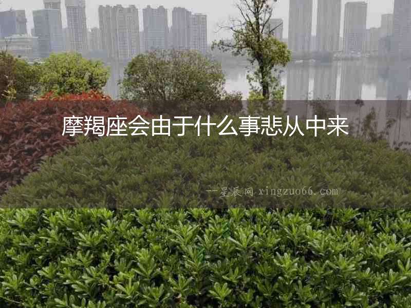 摩羯座會由于什么事悲從中來