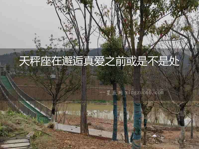 天秤座在邂逅真愛之前或是不是處