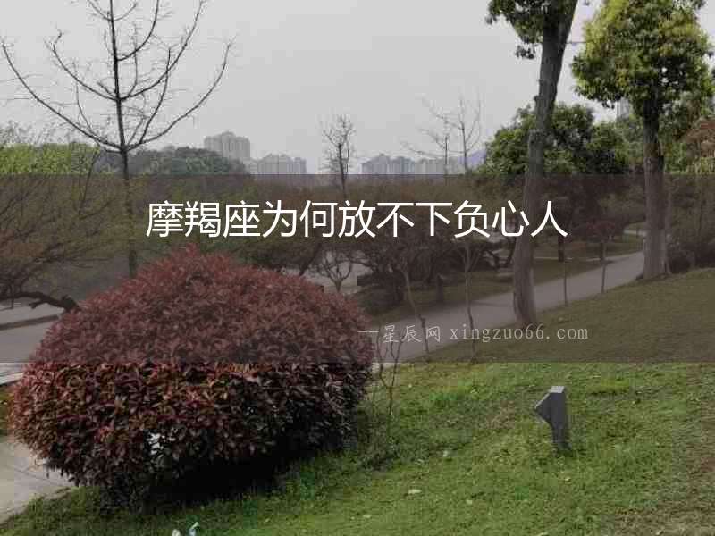 摩羯座為何放不下負心人