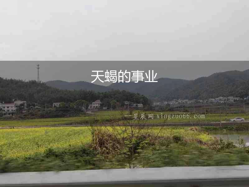 天蝎的事業(yè)