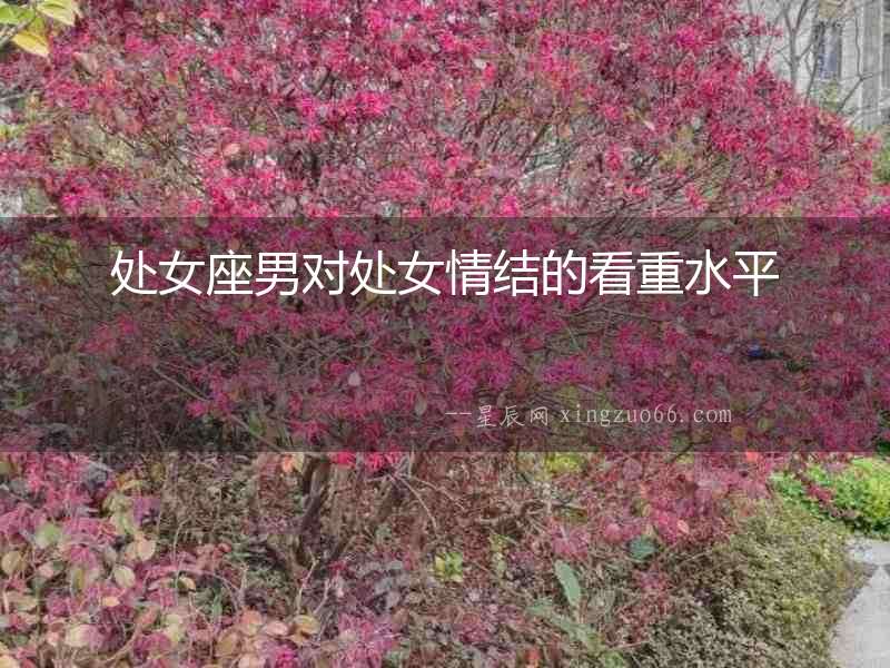 處女座男對(duì)處女情結(jié)的看重水平