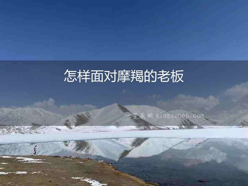 怎樣面對摩羯的老板