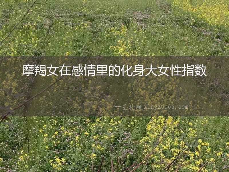 摩羯女在感情里的化身大女性指數