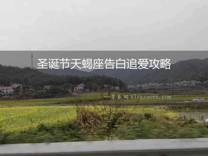 圣誕節天蝎座告白追愛攻略