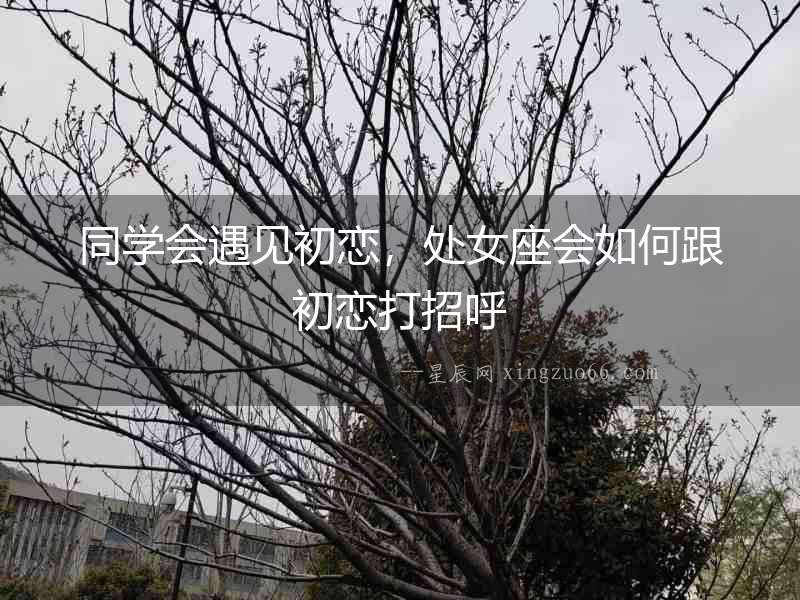 同學會遇見初戀，處女座會如何跟初戀打招呼