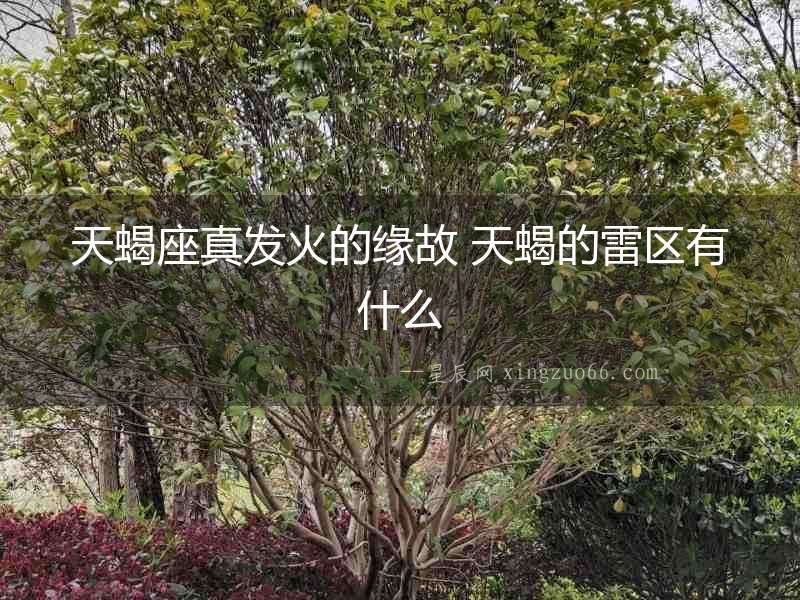 天蝎座真發(fā)火的緣故 天蝎的雷區(qū)有什么