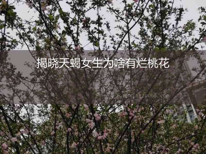 揭曉天蝎女生為啥有爛桃花