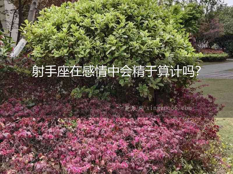 射手座在感情中會精于算計嗎？