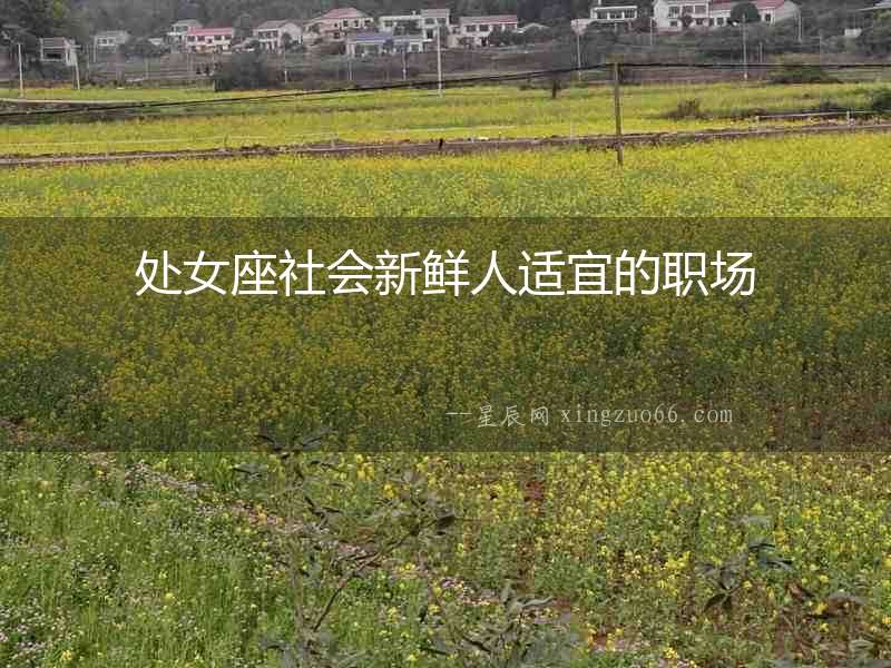 處女座社會新鮮人適宜的職場