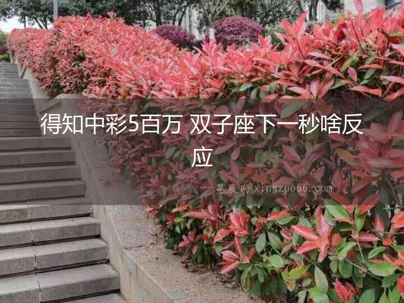 得知中彩5百萬(wàn) 雙子座下一秒啥反應(yīng)