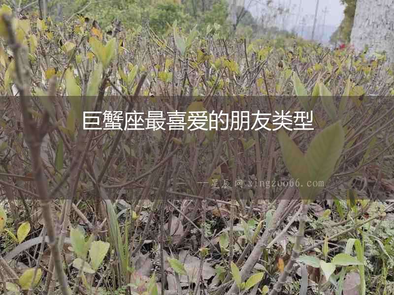 巨蟹座最喜愛的朋友類型
