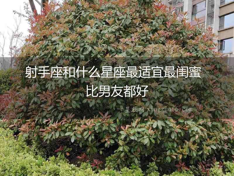 射手座和什么星座最適宜最閨蜜  比男友都好
