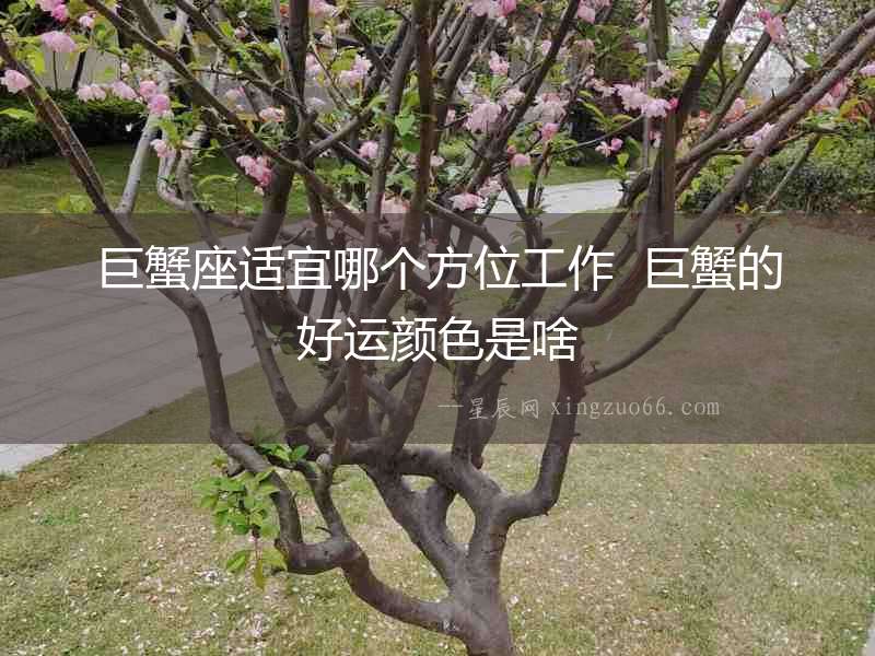 巨蟹座適宜哪個方位工作  巨蟹的好運顏色是啥