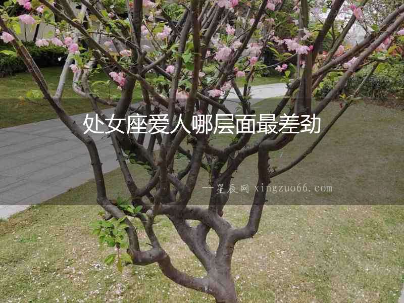 處女座愛人哪層面最差勁