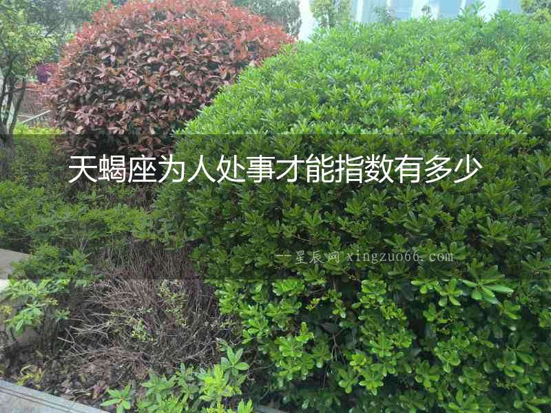 天蝎座為人處事才能指數有多少