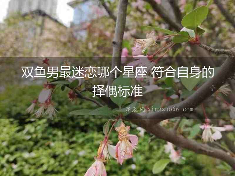 雙魚(yú)男最迷戀哪個(gè)星座 符合自身的擇偶標(biāo)準(zhǔn)