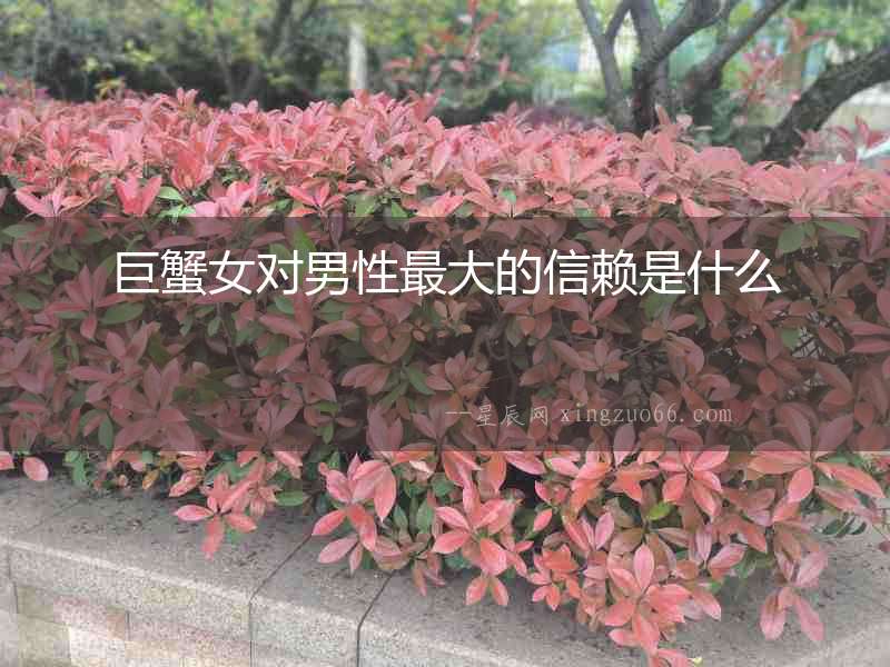 巨蟹女對男性最大的信賴是什么
