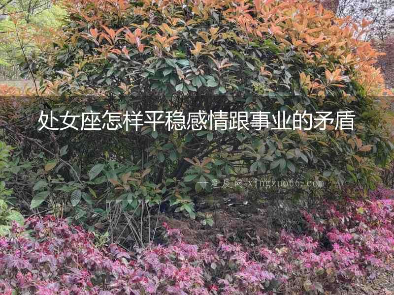 處女座怎樣平穩感情跟事業的矛盾