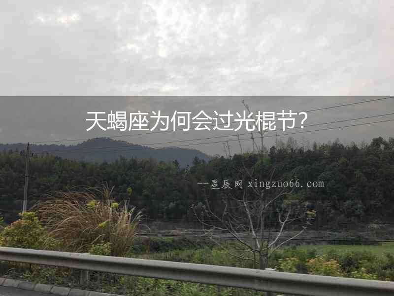 天蝎座為何會過光棍節？