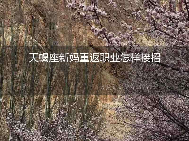 天蝎座新媽重返職業(yè)怎樣接招