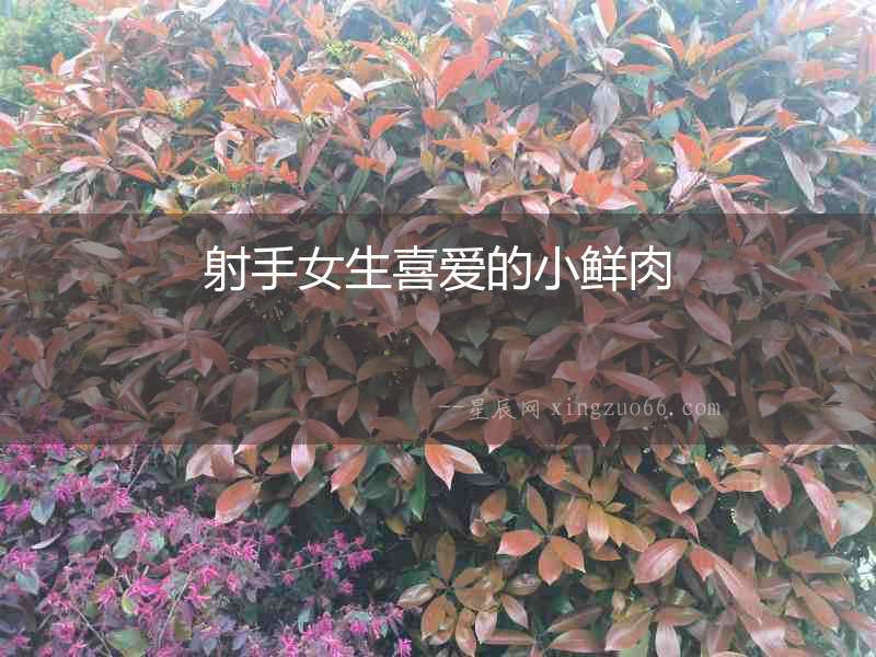 射手女生喜愛的小鮮肉