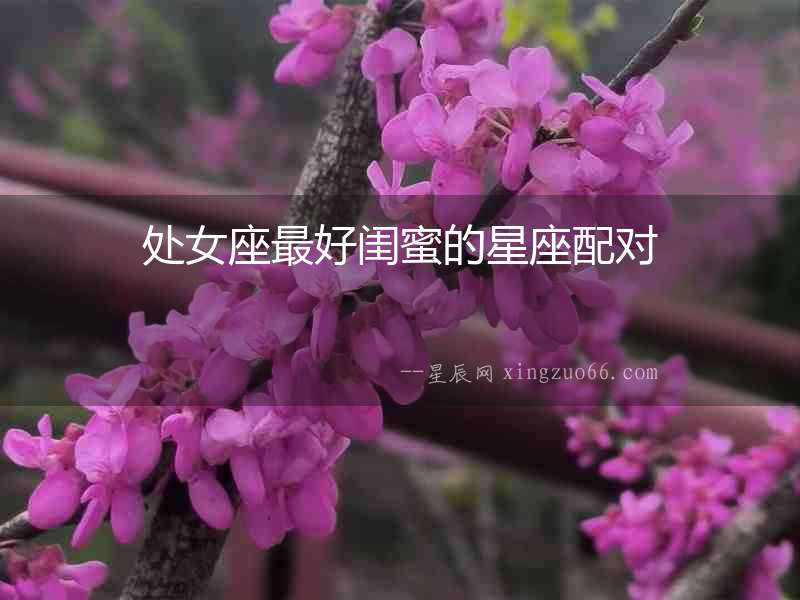 處女座最好閨蜜的星座配對