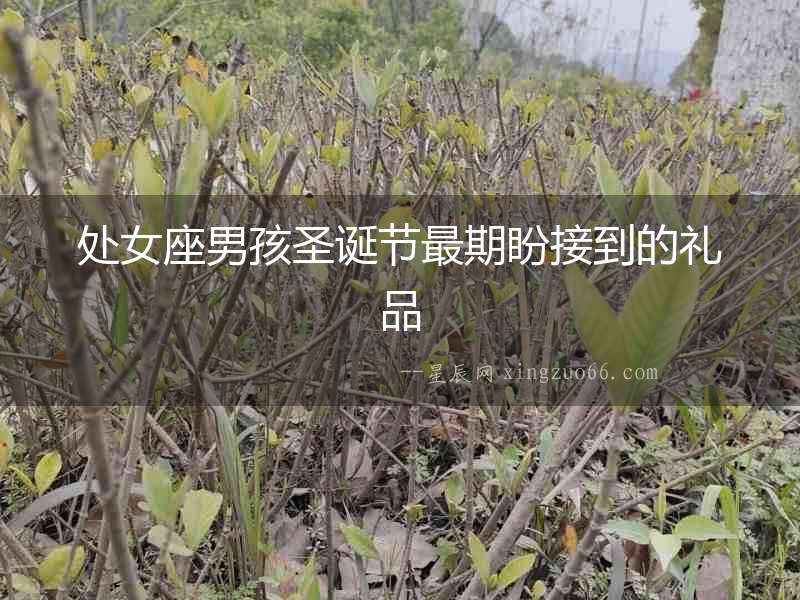 處女座男孩圣誕節最期盼接到的禮品
