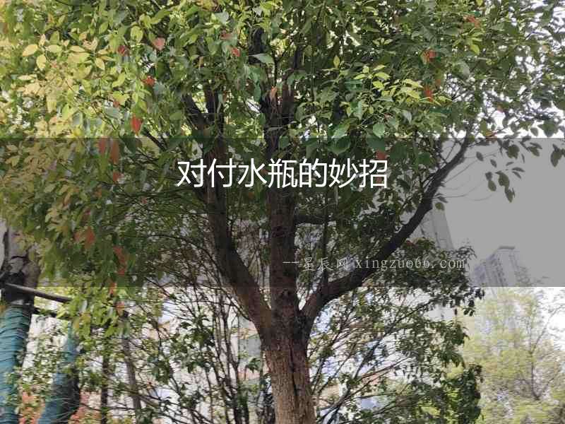 對付水瓶的妙招