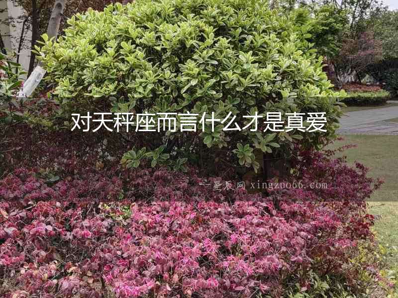 對天秤座而言什么才是真愛