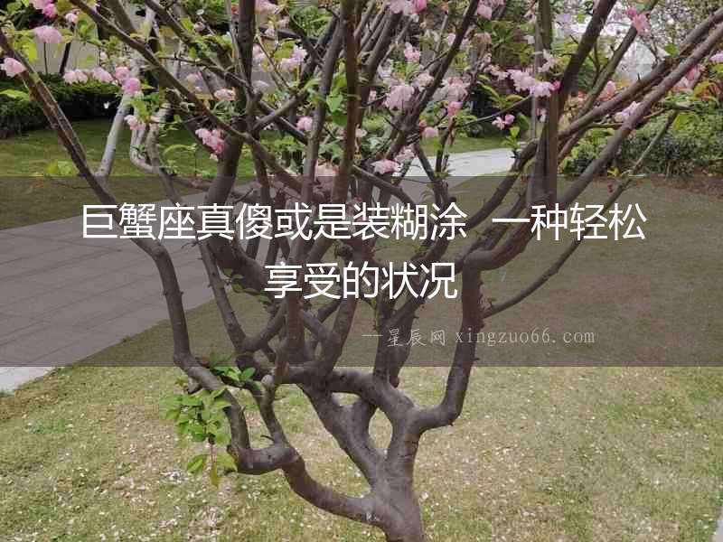 巨蟹座真傻或是裝糊涂  一種輕松享受的狀況