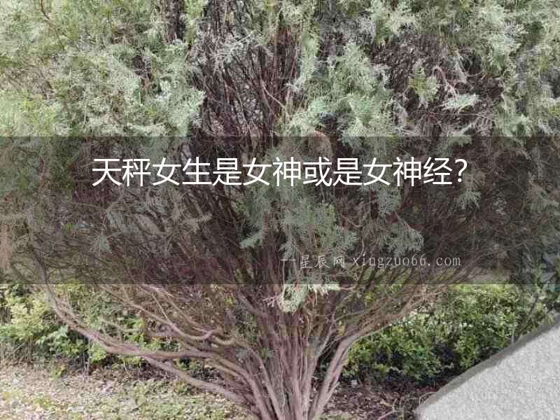 天秤女生是女神或是女神經？