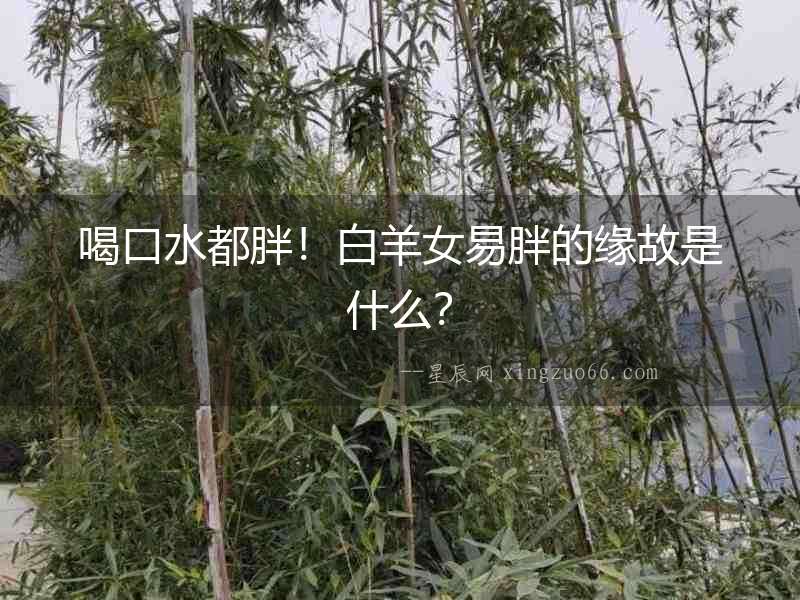喝口水都胖！白羊女易胖的緣故是什么？