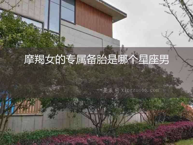摩羯女的專屬備胎是哪個星座男