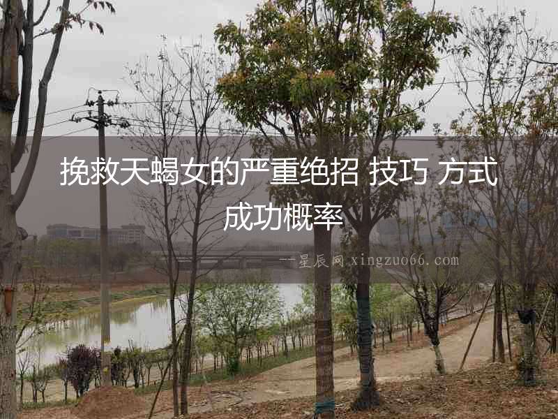 挽救天蝎女的嚴重絕招 技巧 方式 成功概率