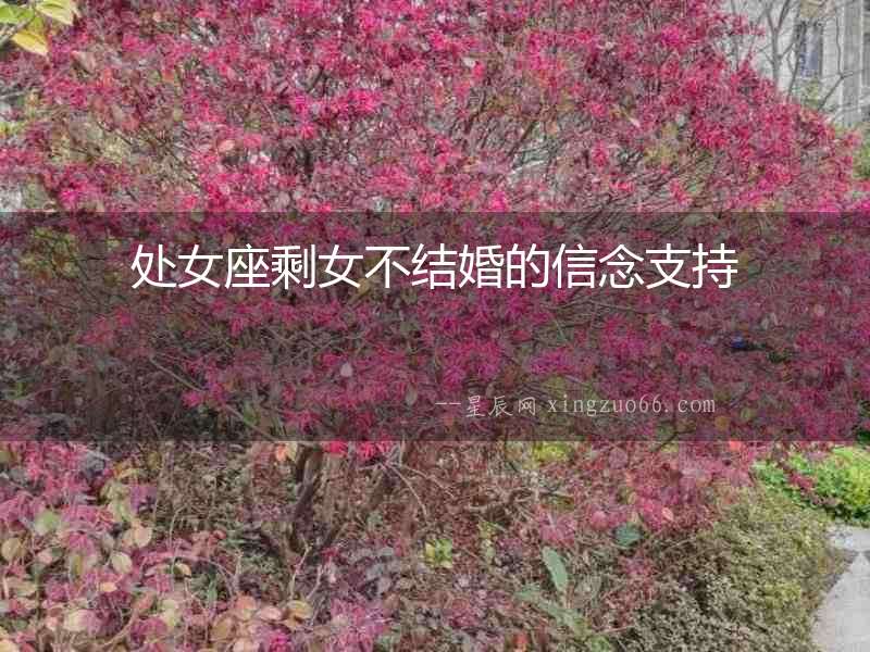 處女座剩女不結婚的信念支持