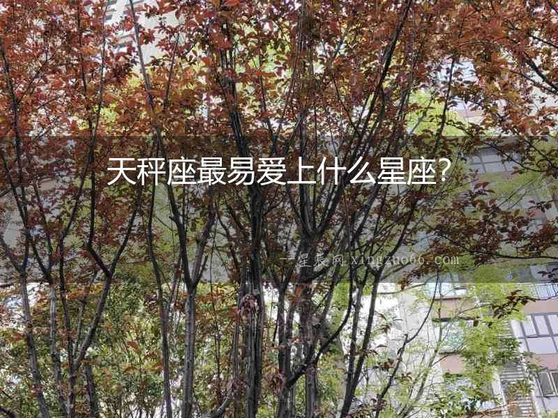 天秤座最易愛上什么星座？