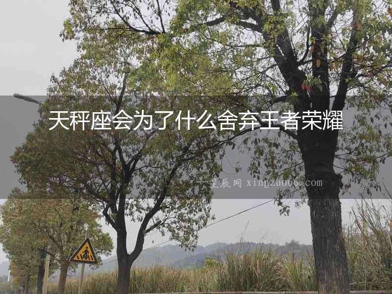 天秤座會(huì)為了什么舍棄王者榮耀