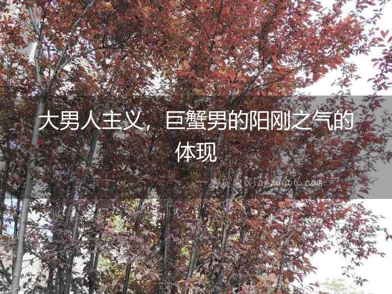 大男人主義，巨蟹男的陽剛之氣的體現