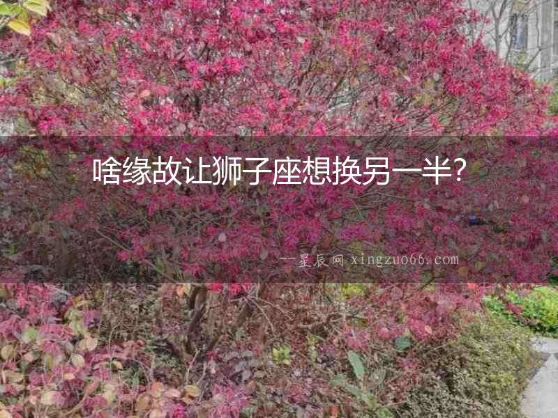 啥緣故讓獅子座想換另一半？