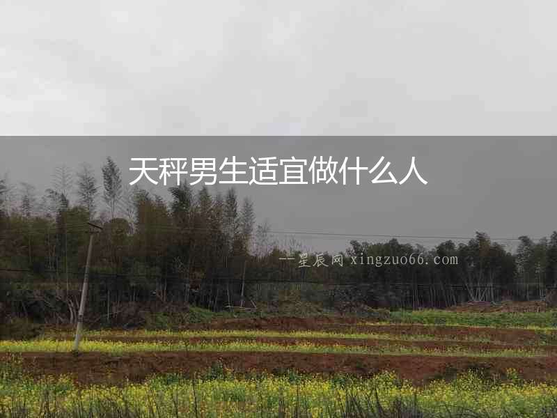天秤男生適宜做什么人