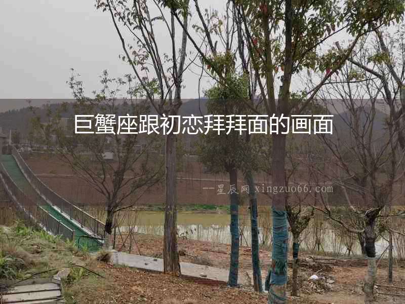 巨蟹座跟初戀拜拜面的畫面