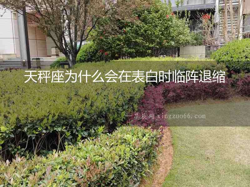 天秤座為什么會(huì)在表白時(shí)臨陣退縮