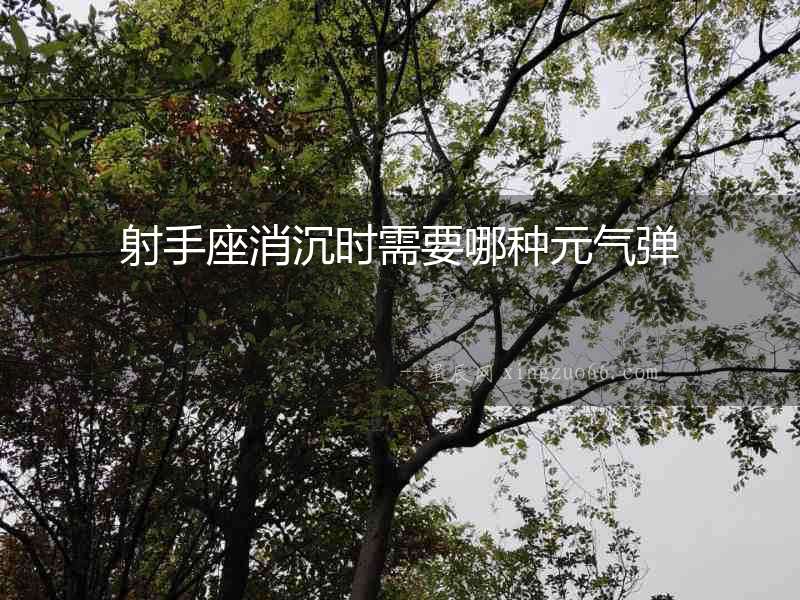射手座消沉?xí)r需要哪種元?dú)鈴? alt=