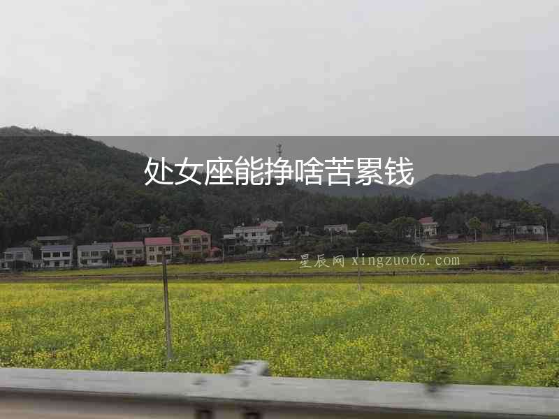 處女座能掙啥苦累錢