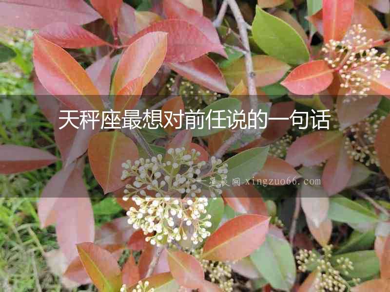 天秤座最想對前任說的一句話