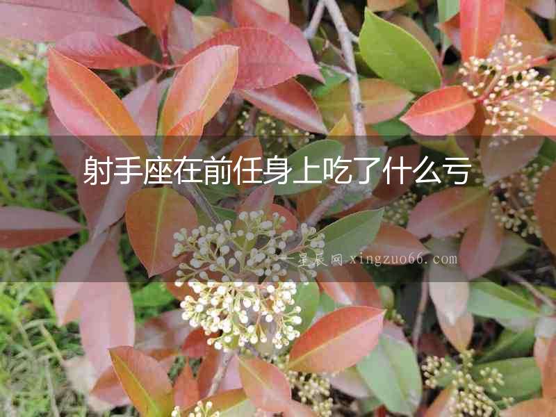 射手座在前任身上吃了什么虧