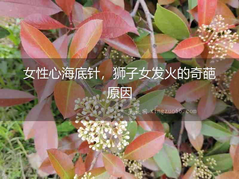 女性心海底針，獅子女發火的奇葩原因